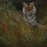 Dima Proskurykov. «tiger»