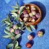 Alyona Savchenko. «Plums» Alyona Savchenko. «Plums»